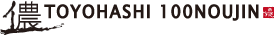 豊橋100儂人