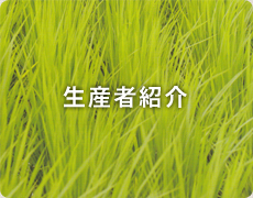 生産者紹介